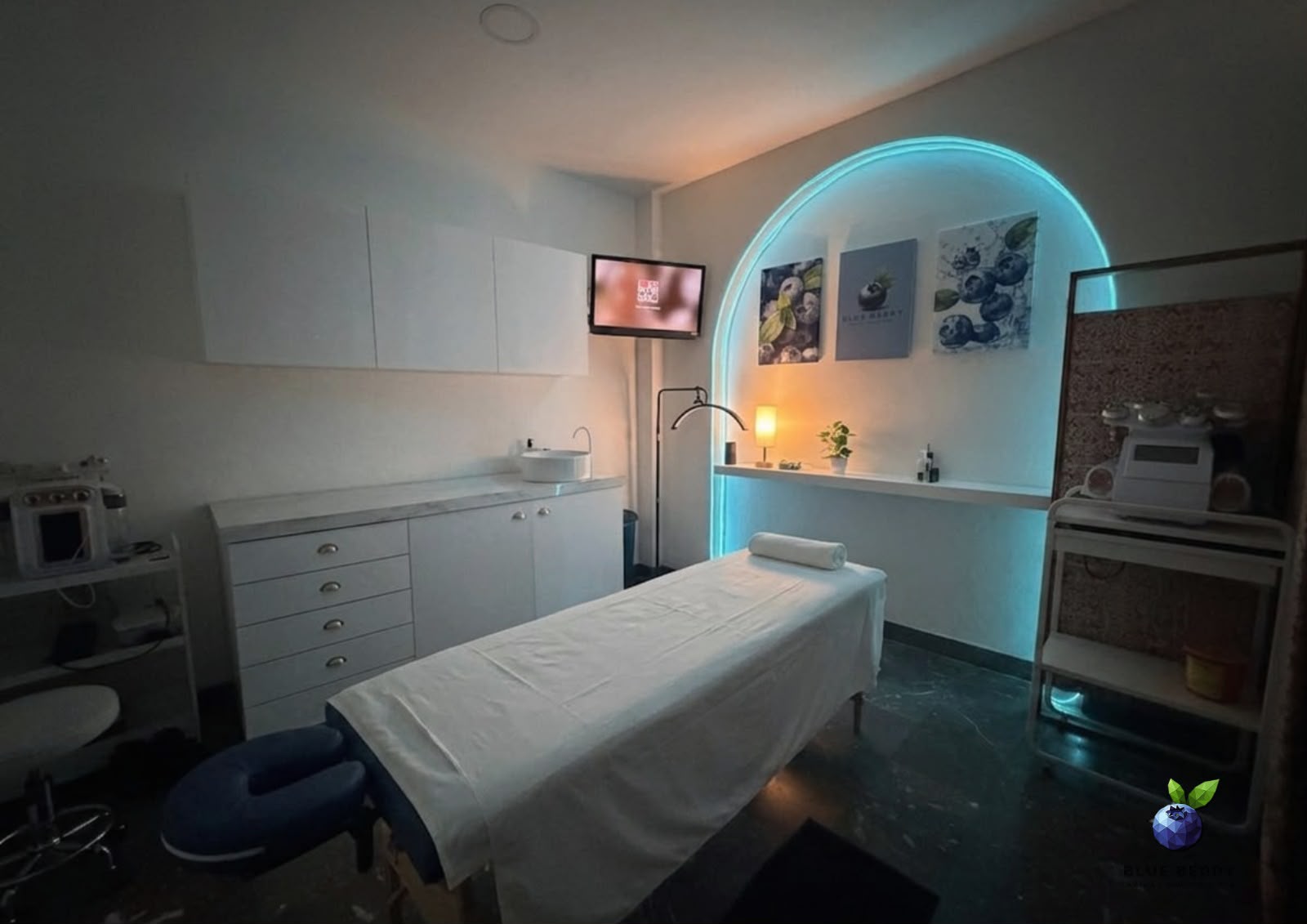 Cabina Blueberry Santiago Cosmetólogo