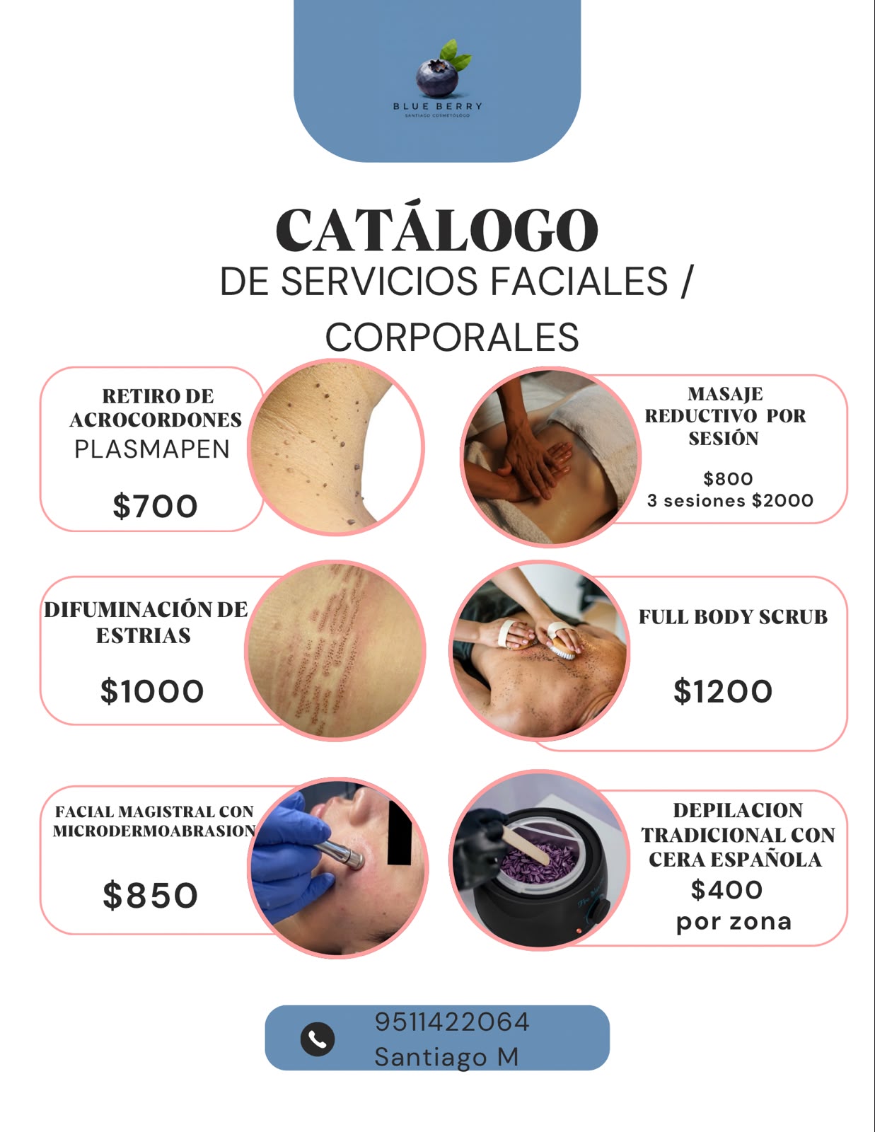 Catálogo de servicios faciales y corporales Blueberry