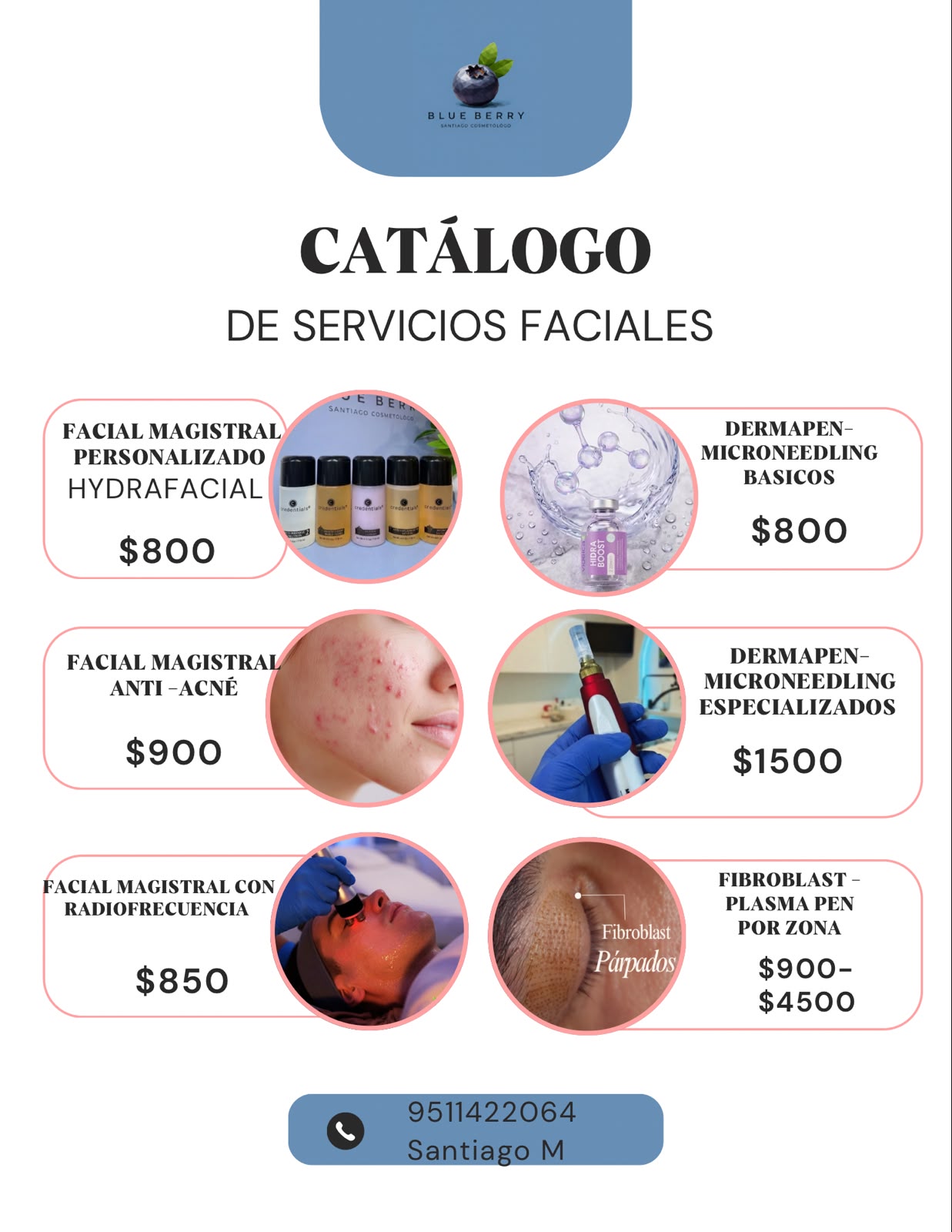 Catálogo de servicios faciales Blueberry