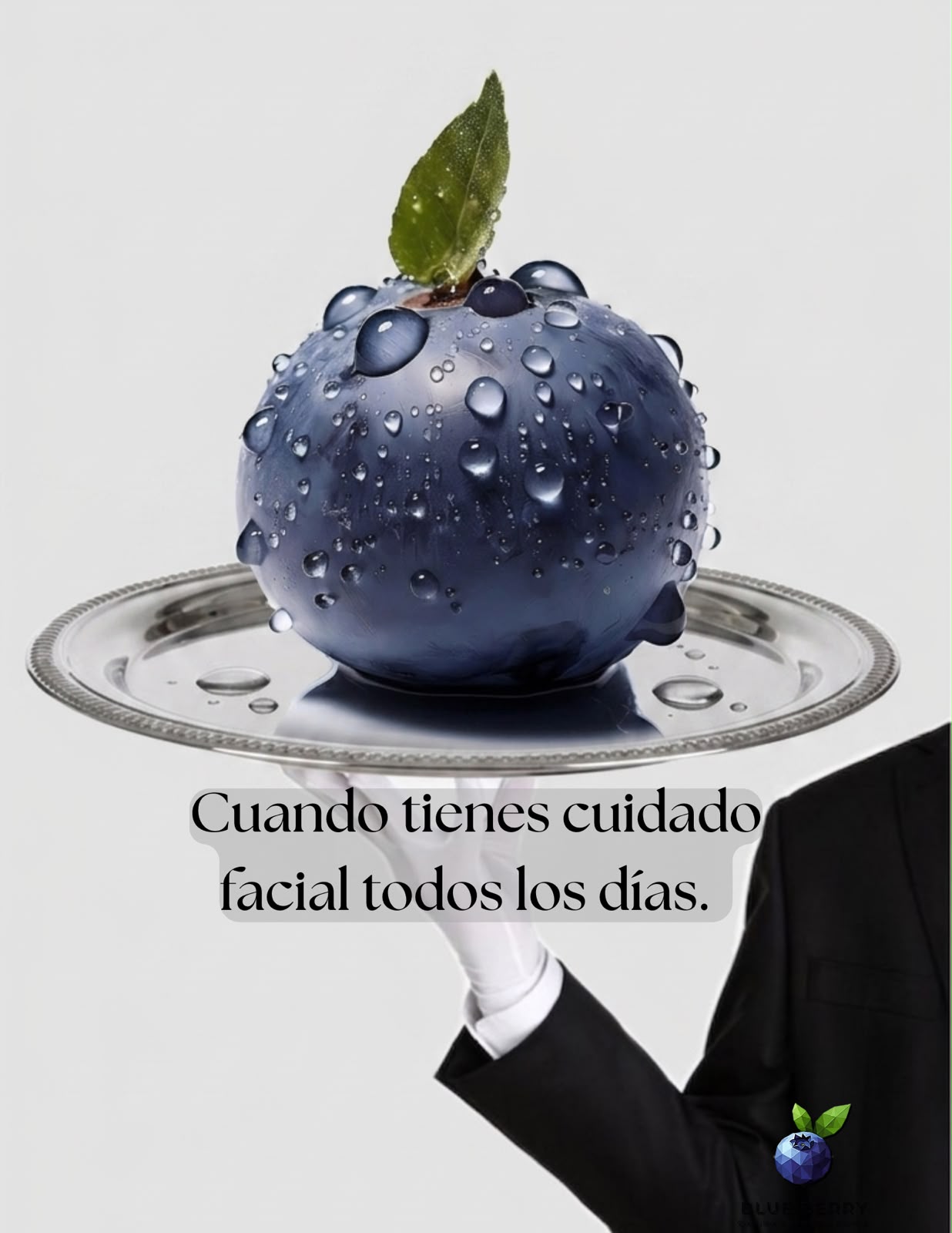 Cuidado facial Blueberry Santiago Cosmetólogo