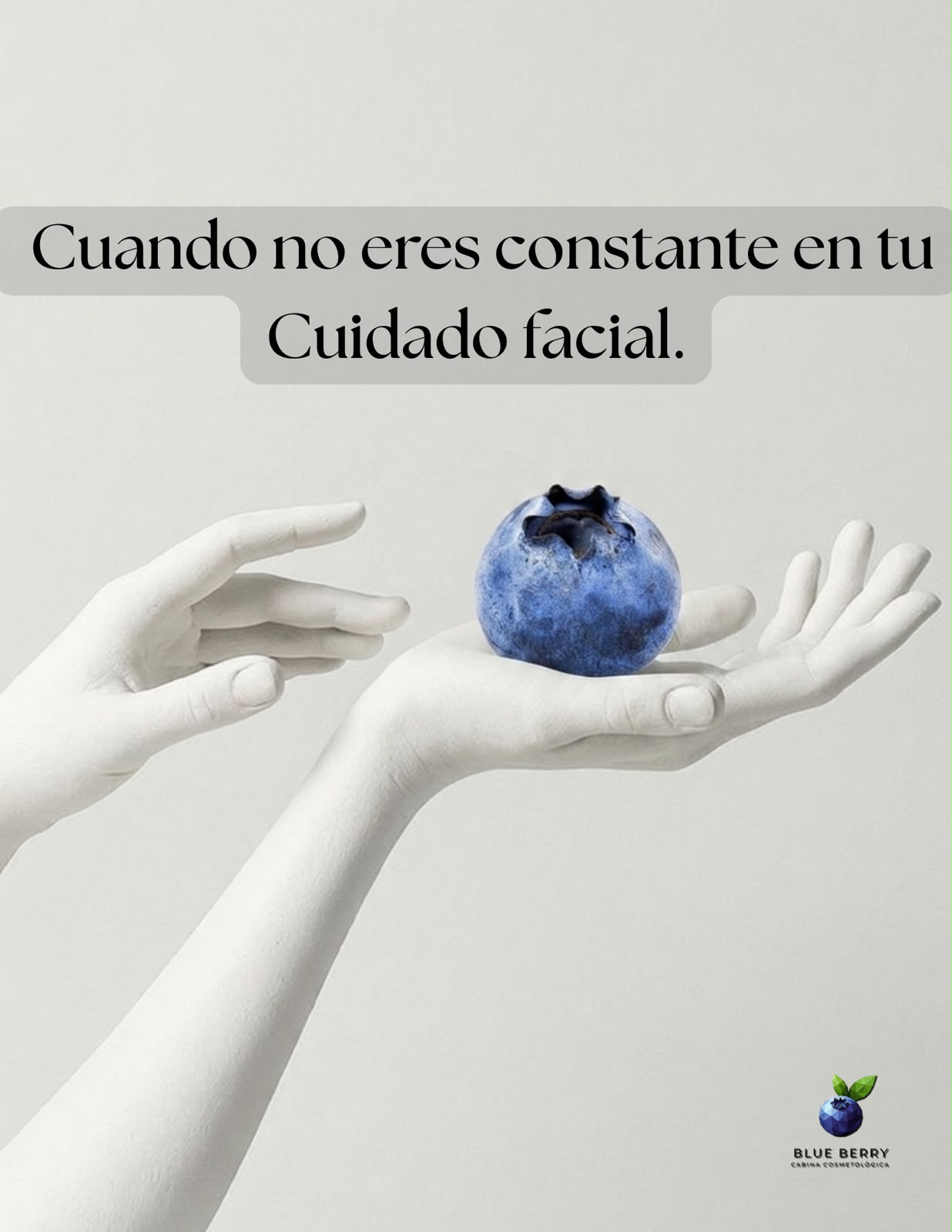 Cuidado facial Blueberry Santiago Cosmetólogo