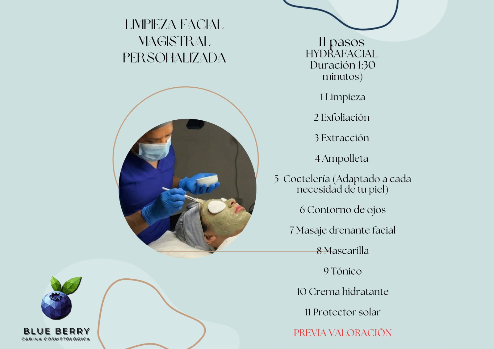Información de limpieza facial Blueberry