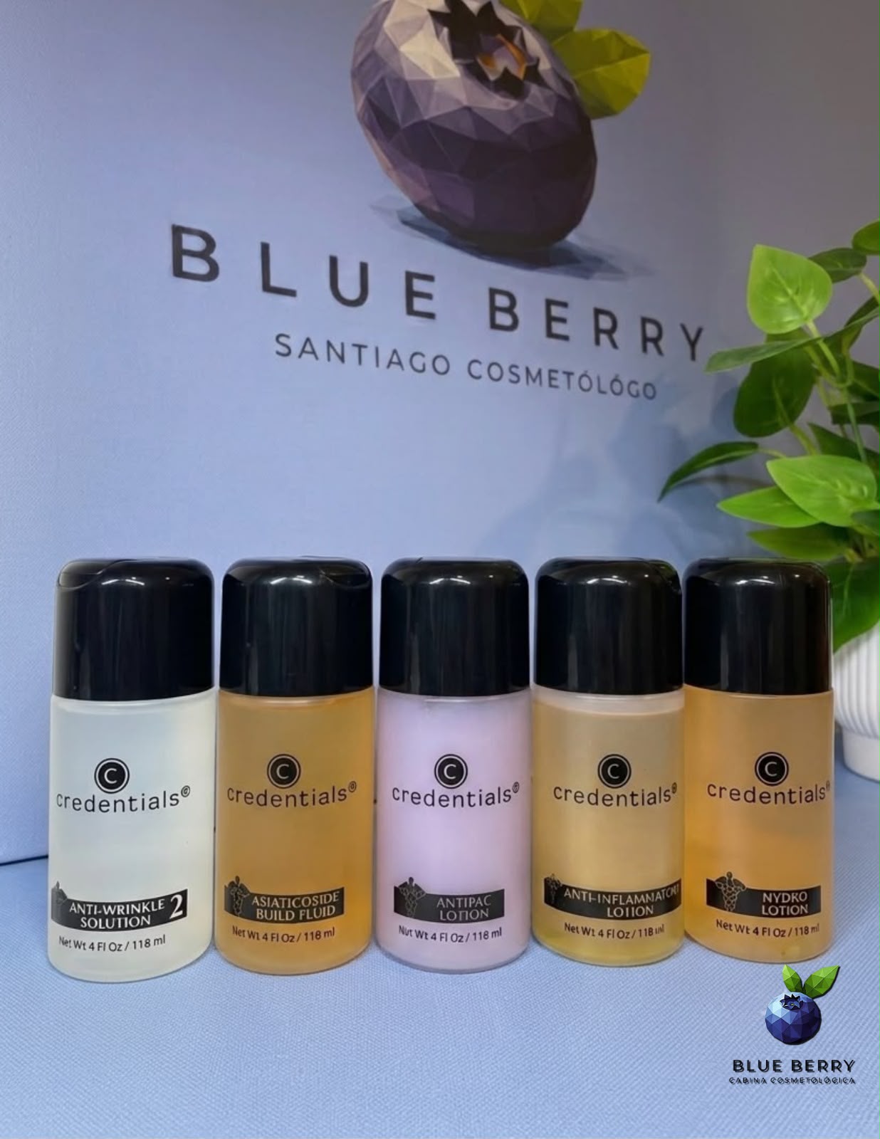 Productos Blueberry Santiago Cosmetólogo