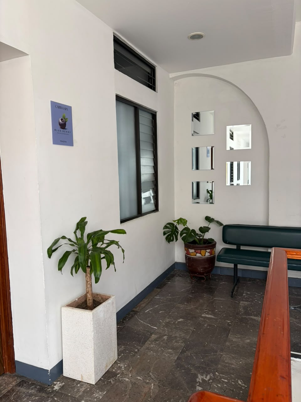 Espacio Blueberry Santiago Cosmetólogo